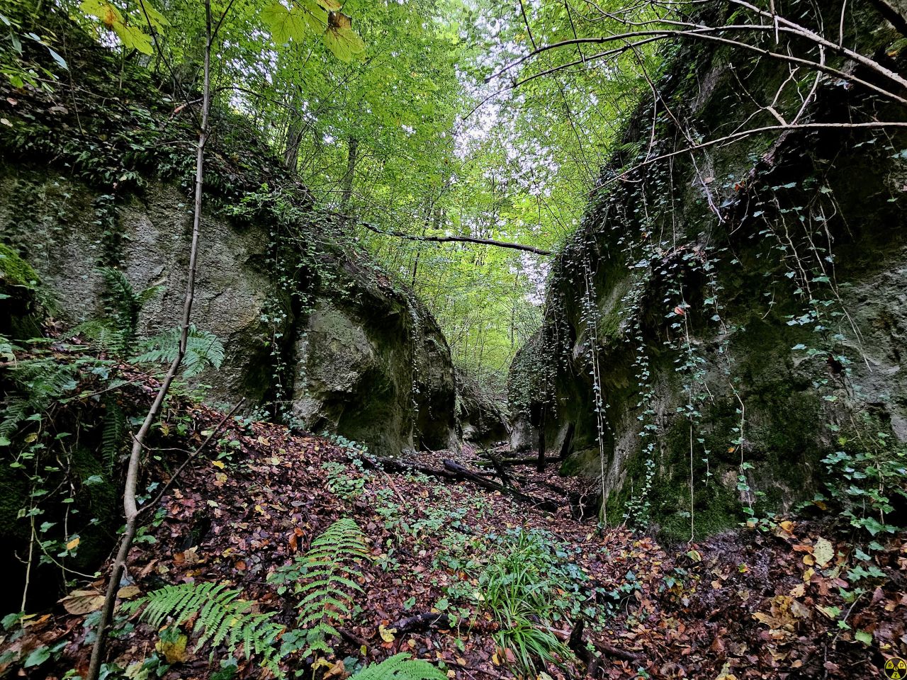 Тропічний каньйон серед навколо-Львівських хащів