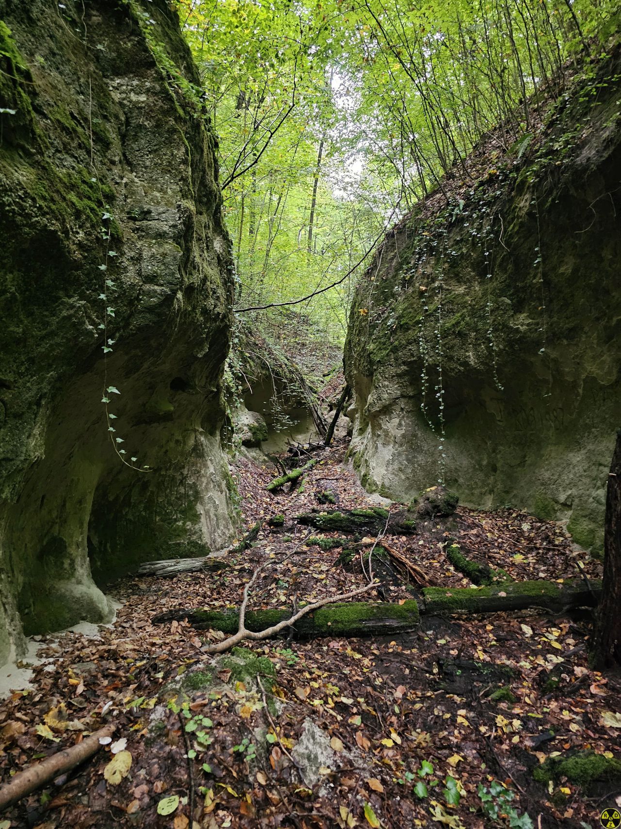Заходимо в маловідомий та дуже містичний каньйон